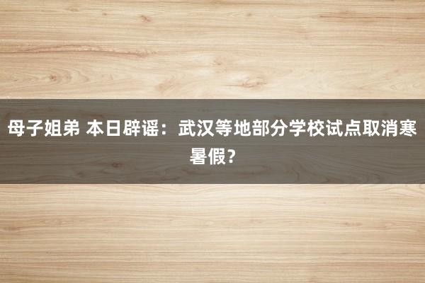 母子姐弟 本日辟谣：武汉等地部分学校试点取消寒暑假？