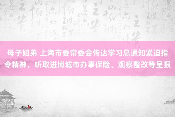 母子姐弟 上海市委常委会传达学习总通知紧迫指令精神，听取进博城市办事保险、观察整改等呈报