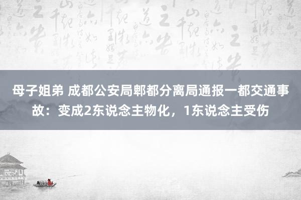 母子姐弟 成都公安局郫都分离局通报一都交通事故：变成2东说念主物化，1东说念主受伤