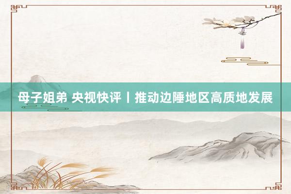 母子姐弟 央视快评丨推动边陲地区高质地发展