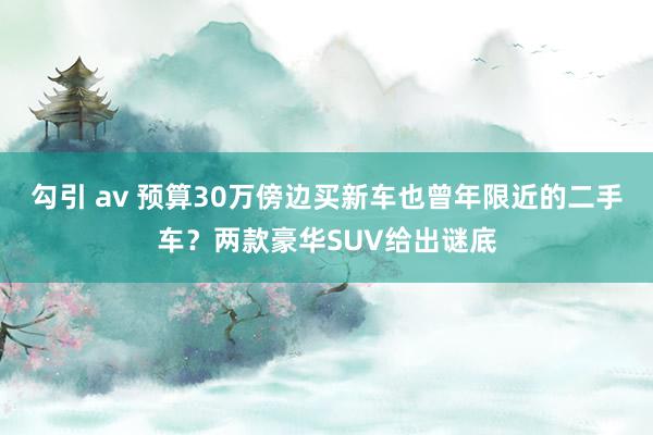 勾引 av 预算30万傍边买新车也曾年限近的二手车？两款豪华SUV给出谜底