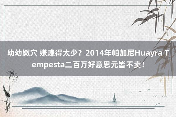 幼幼嫩穴 嫌赚得太少？2014年帕加尼Huayra Tempesta二百万好意思元皆不卖！