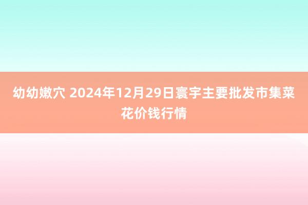 幼幼嫩穴 2024年12月29日寰宇主要批发市集菜花价钱行情