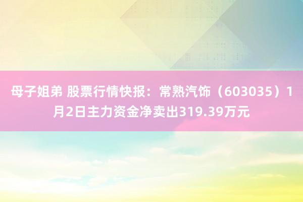 母子姐弟 股票行情快报：常熟汽饰（603035）1月2日主力资金净卖出319.39万元