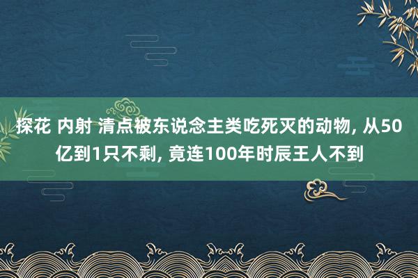 探花 内射 清点被东说念主类吃死灭的动物, 从50亿到1只不剩, 竟连100年时辰王人不到