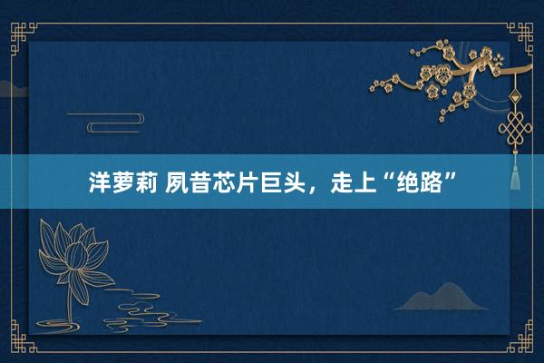 洋萝莉 夙昔芯片巨头，走上“绝路”
