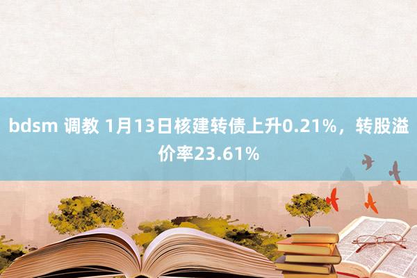 bdsm 调教 1月13日核建转债上升0.21%，转股溢价率23.61%
