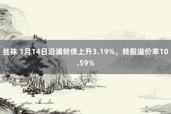 丝袜 1月14日沿浦转债上升3.19%，转股溢价率10.59%