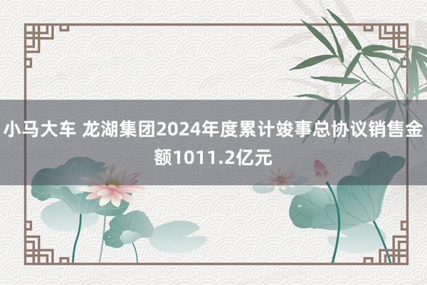 小马大车 龙湖集团2024年度累计竣事总协议销售金额1011.2亿元
