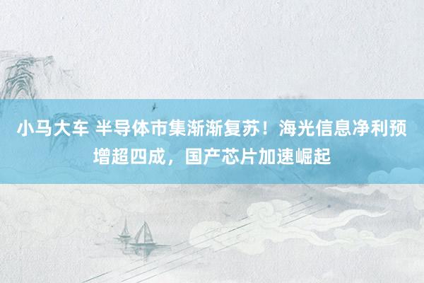 小马大车 半导体市集渐渐复苏！海光信息净利预增超四成，国产芯片加速崛起