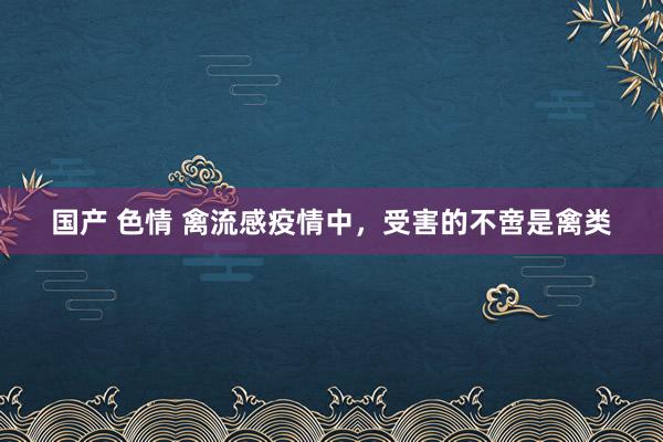 国产 色情 禽流感疫情中，受害的不啻是禽类